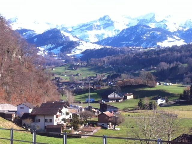 Seebrise Faulensee Exterior foto